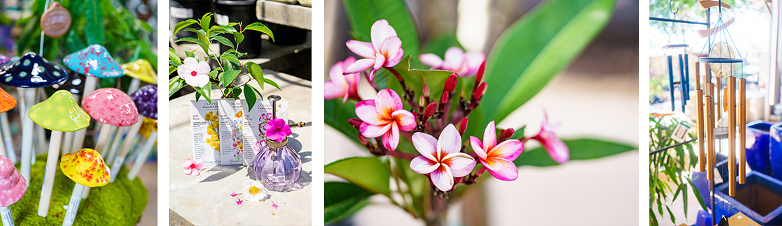 Shroomyz, Seed Packets, Pink Plumeria, Windchimes & Pots