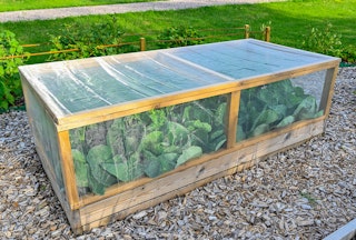 A rectangular netted structure protecting a raised garden bed.