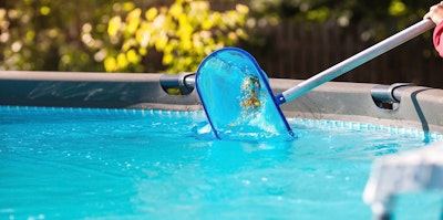 pool leaf litter scooping leaves out of pool