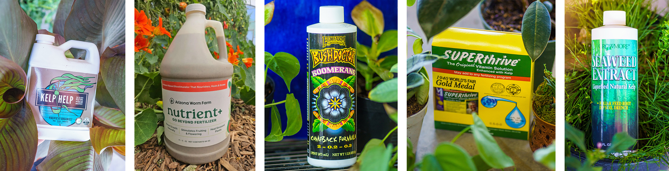Kelp Help, Nutrient+, Bush Doctor Bummerang, SUPERthrive, and Seaweed Extract products.