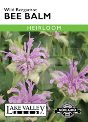 Lake Valley Seed - Wild Bergamot Bee Balm A package of Lake Valley Seed - Wild Bergamot Bee Balm seeds.