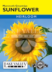 A packet of Mammoth Greystripe Sunflower seeds from Lake Valley Seed.