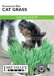 A packet of Common Oat Cat Grass seeds from Lake Valley Seed.