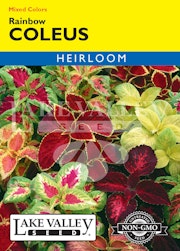 A packet of Mixed Colors Rainbow Coleus seeds from Lake Valley Seed.