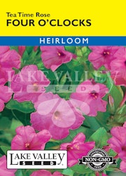A packet of Tea Time Rose Four O'Clocks seeds from Lake Valley Seed.