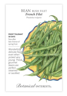 botanical interest seed packet bean bush filet french filet botanical interest seed packet bean bush filet french filet