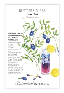 botanical interest seed packet butterfly pea blue tea botanical interest seed packet butterfly pea blue tea
