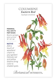 botanical interest seed packet columbine eastern red botanical interest seed packet columbine eastern red