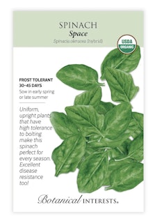 botanical interest seed packet spinach space botanical interest seed packet spinach space