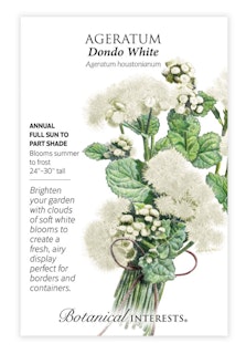 botanical interest seed packet ageratum dondo white botanical interest seed packet ageratum dondo white