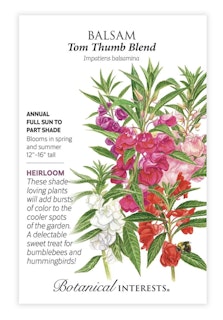 botanical interest seed packet balsam tom thumb blend botanical interest seed packet balsam tom thumb blend