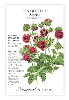 botanical interest seed packet cinquefoil scarlet potentilla thurberi botanical interest seed packet cinquefoil scarlet potentilla thurberi