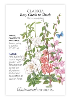 botanical interest seeds clarkia rosy cheek to cheek botanical interest seed packet clarkia rosy cheek to cheek