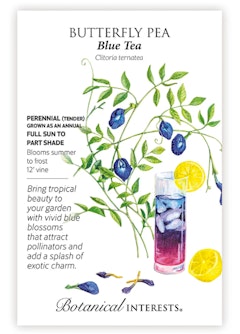 Blue Tea Butterfly Pea Seeds by Botanical Interests.
