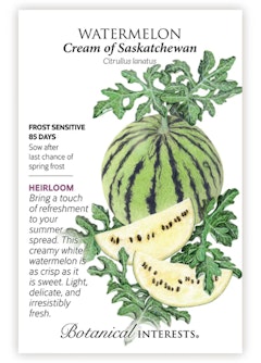 Cream of Saskatchewan Watermelon Seeds Cream of Saskatchewan Watermelon Seeds by Botanical Interests.