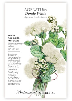 Dondo White Ageratum Seeds by Botanical Interests.