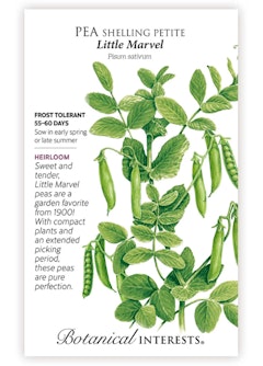 Little Marvel Petite Shelling Pea Seeds Little Marvel Petite Shelling Pea Seeds by Botanical Interests.
