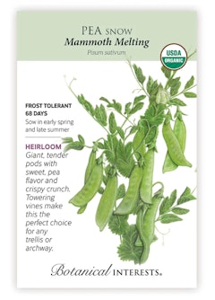 Mammoth Melting Snow Pea Seeds Mammoth Melting Snow Pea Seeds by Botanical Interests.