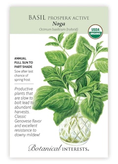 Noga Basil Seeds Noga Basil Seeds by Botanical Interests.