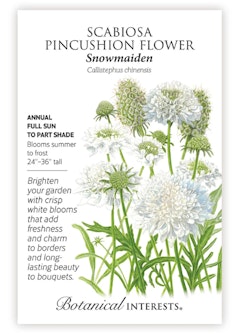 Snowmaiden Scabiosa Pincushion Flower Seeds by Botanical Interests.