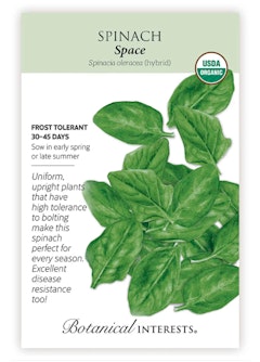 Space Spinach Seeds Space Spinach Seeds by Botanical Interests