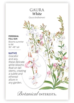 White Gaura Seeds by Botanical Interests.