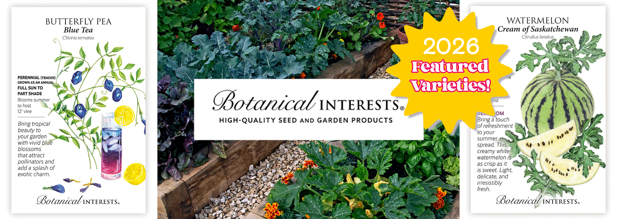 Botanical Interests 2026 Featured Edible Seed Varieties: Blue Tea Butterfly Pea, and Cream of Saskatchewan Watermelon Seeds.