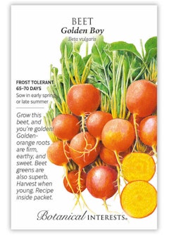 Golden Boy Beet Seeds by Botanical Interests