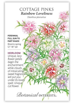 Rainbow Loveliness Cottage Pinks Seeds by Botanical Interests
