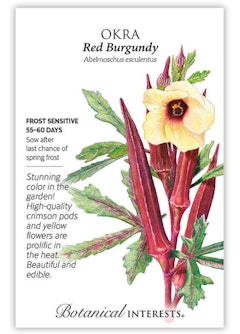 Red Burgundy Okra Seeds by Botanical Interests
