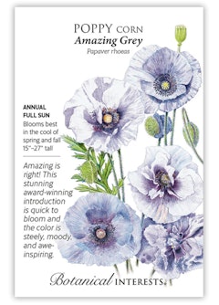 Amazing Grey Corn Poppy Seeds by Botanical Interests