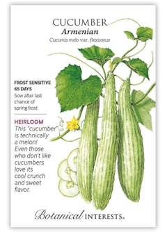 Armenian Cucumber Seeds by Botanical Interests