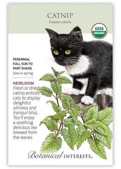 Catnip Seeds by Botanical Interests