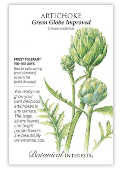 Green Globe Improved Artichoke Seeds by Botanical Interests
