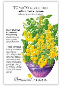 Patio Choice Yellow Bush Cherry Tomato Seeds by Botanical Interests