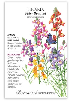 Fairy Bouquet Linaria Seeds by Botanical Interests