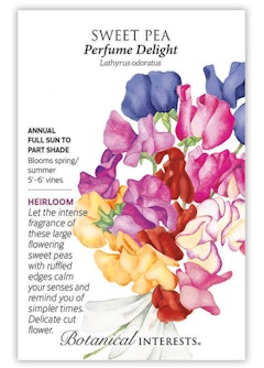 Perfume Delight Sweet Pea Seeds by Botanical Interests