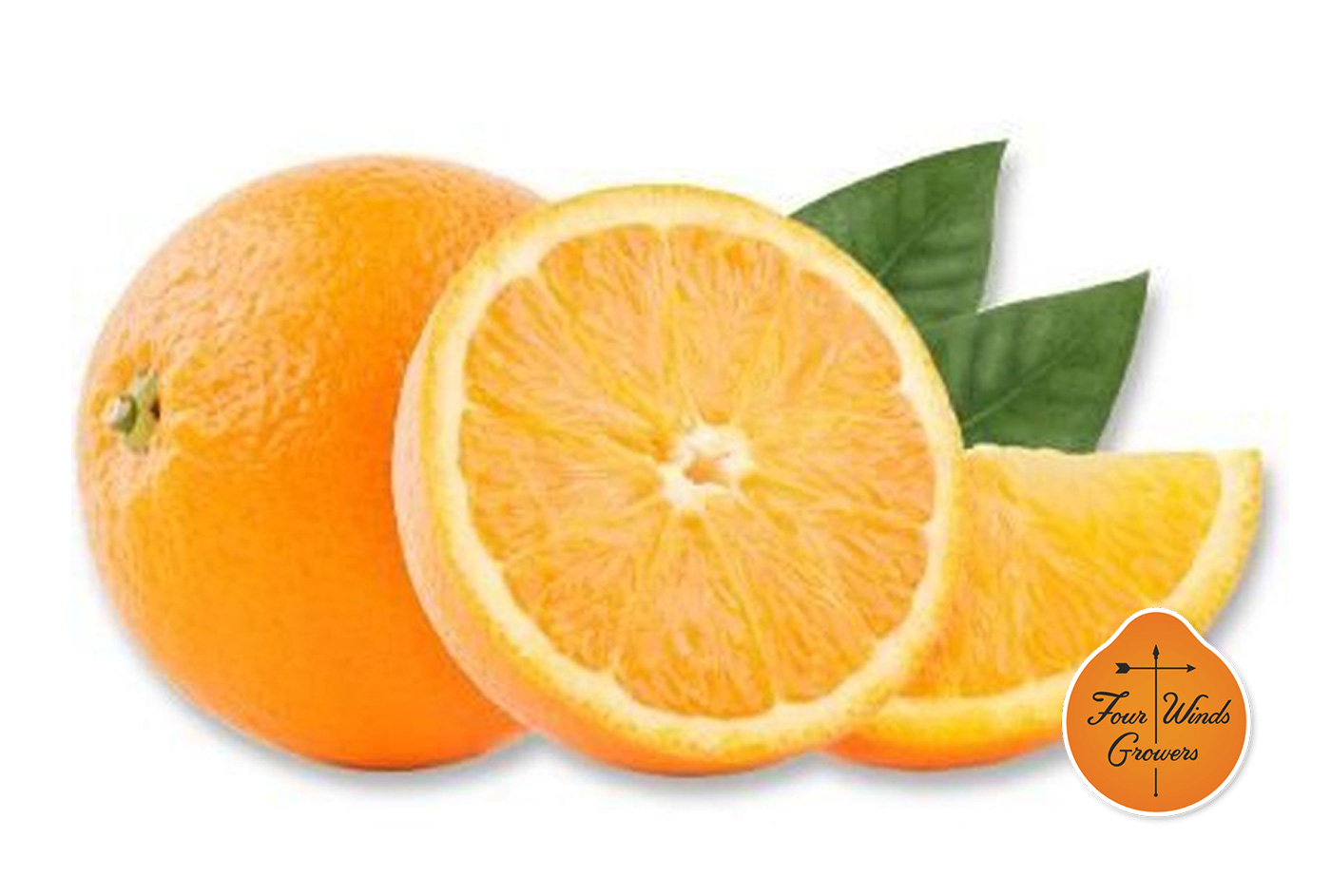 Semi-Dwarf Citrus Trees | Arizona SummerWinds Nursery