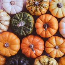 assorted mini pumpkins