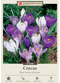 Crocus - Blue Moon Mixture A packet of Crocus Blue Moon Mixture bulbs from the Netherland Bulb Company