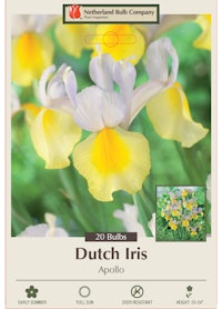 Dutch Iris Apollo A package of Dutch Iris Apollo bulbs from Netherland Bulb Company.