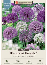 Blends of Beauty Wild About Allium Blend A packet of Blends of Beauty - Wild About Allium Blend bulbs from Netherland Bulb Company