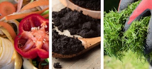 composting greens composting greens