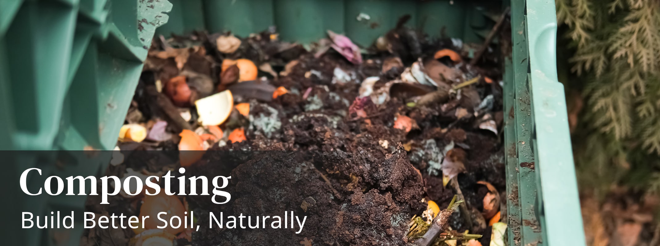composting build better soil naturally
