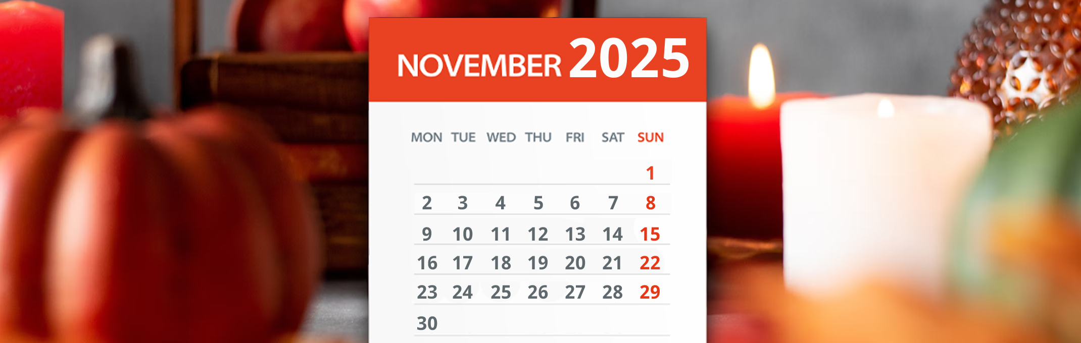 November gardening tips for bay area gardens in 2025