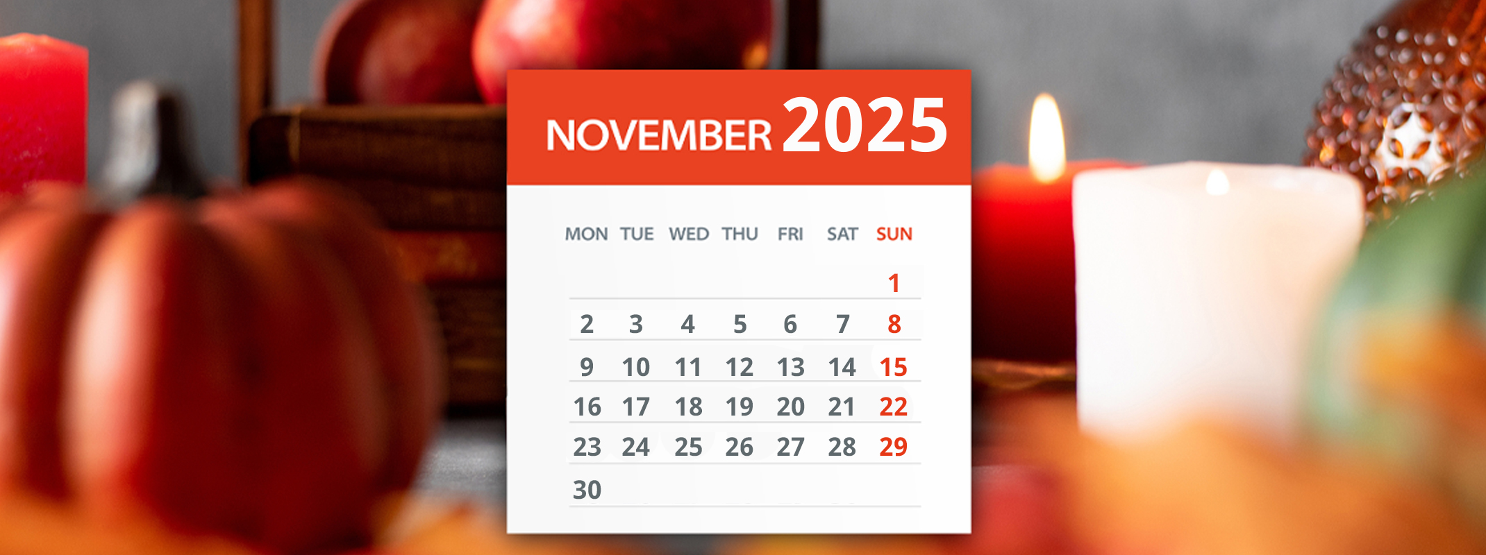 November gardening calendar banner image November 2024 gardening calendar