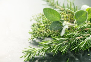 herbs thyme sage rosemary