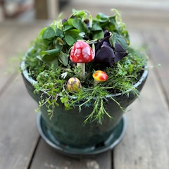 Potted Shamrocks and other plants with three ceramic Shroomyz.