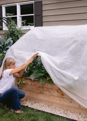 A woman covering her raised garden bed with frost cloth.