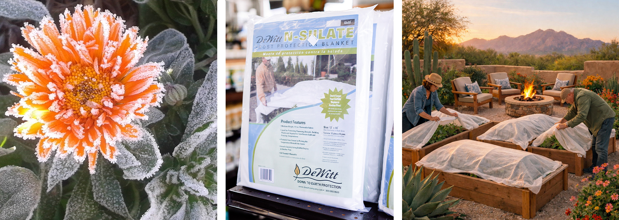 3 images: a frost covered flower, a package of DeWitt Frost Cloth, a backyard in the Southwest with a man and woman covering their raised beds with frost cloth.